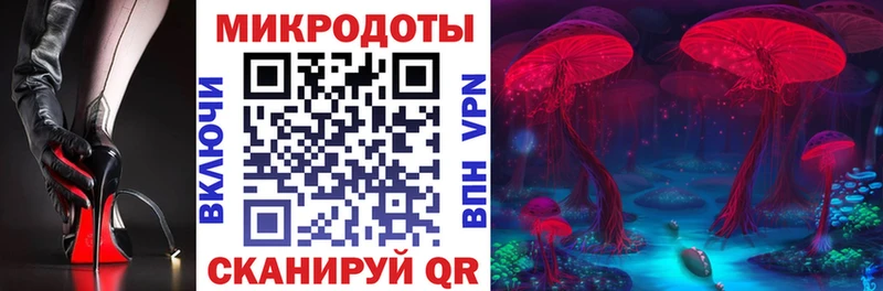 купить Староминская Псилоцибиновые грибы Psilocybe