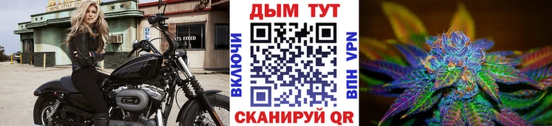 даркнет телеграм  МЕГА ТОР  Конопля Bruce Banner  Староминская  как найти наркотики 